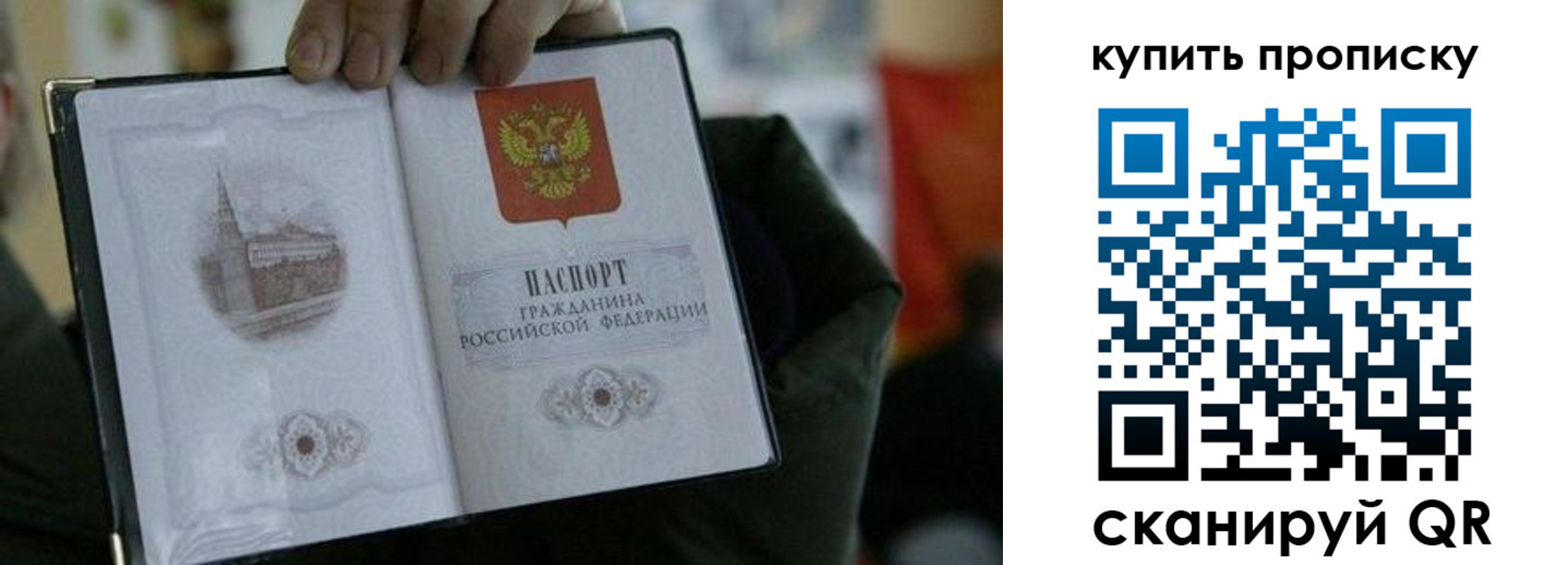временная регистрация поиск в ЕАО